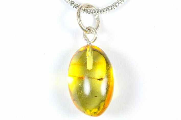 Polished Baltic Amber Pendant (Necklace) - Contains Fly! #369030